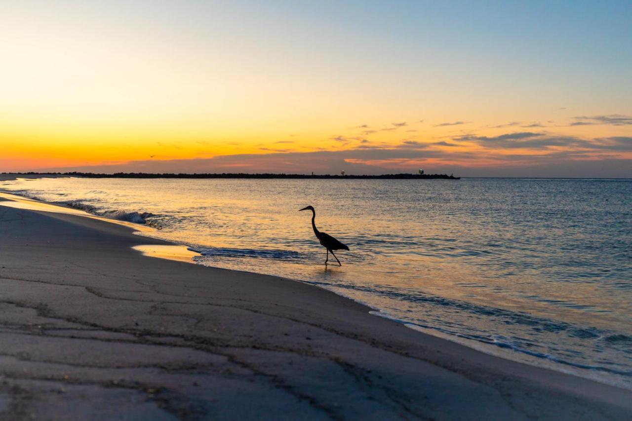 Perdido Beach Resort ออเรนจ์บีช ภายนอก รูปภาพ